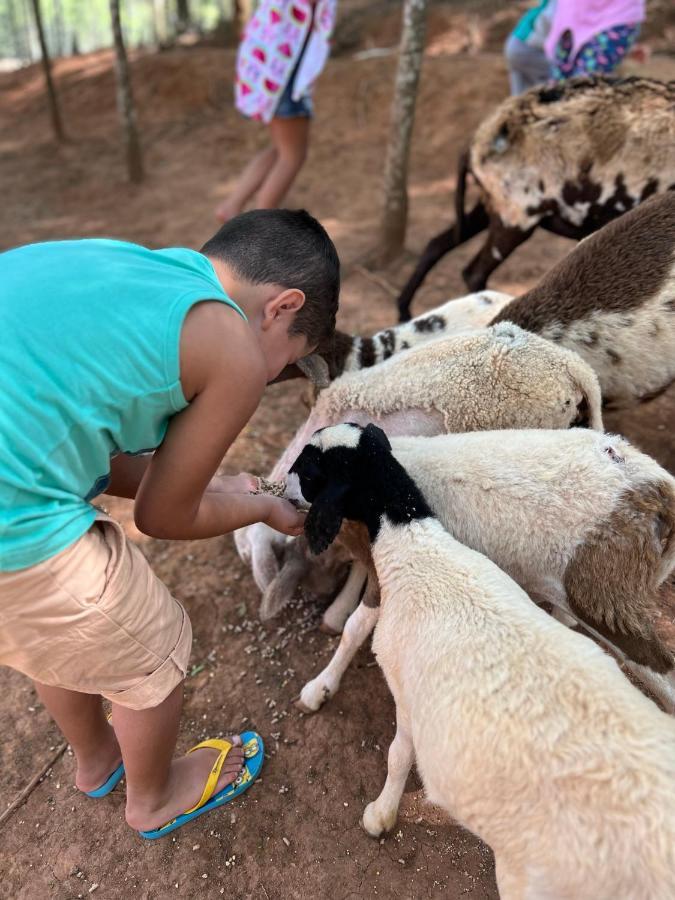 Hotel Fazenda Minas Real Simão Pereira Εξωτερικό φωτογραφία